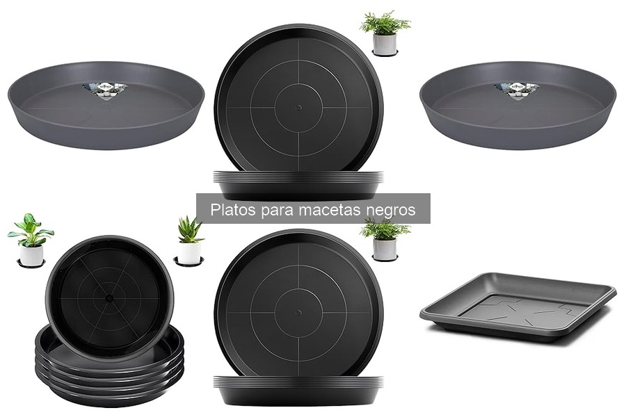 Tipos de platos para macetas negros: guía completa