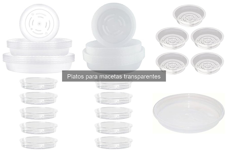 Tipos de platos para macetas transparentes: guía completa