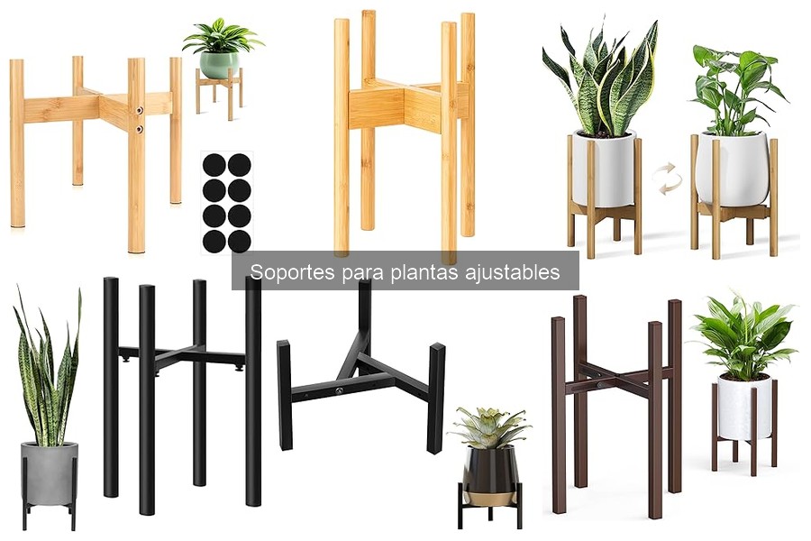 Tipos de Soportes para Plantas Ajustables: Características y Estilos