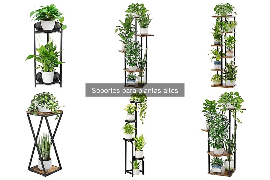Tipos de soportes para plantas altos: materiales y usos