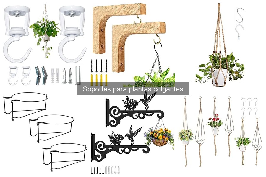 Tipos de Soportes para Plantas Colgantes: Ganchos y Estantes