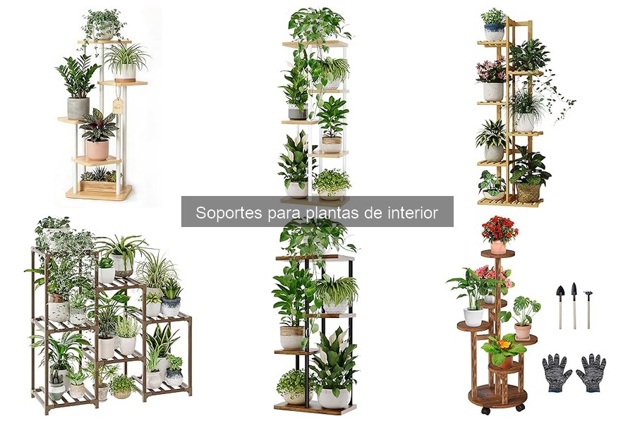 Tipos de soportes para plantas de interior para tu hogar