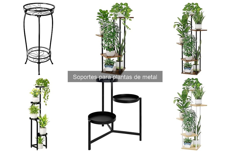 Tipos de soportes para plantas de metal: guía completa