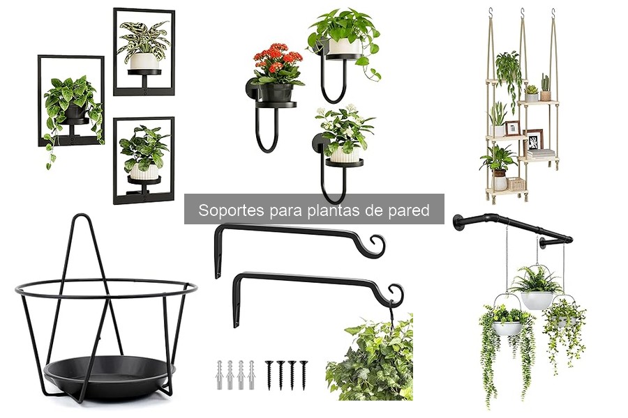 Tipos de soportes para plantas de pared: guía completa