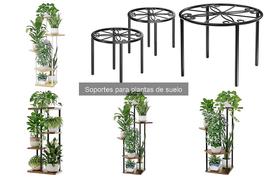 ** Tipos de soportes para plantas de suelo: guía completa