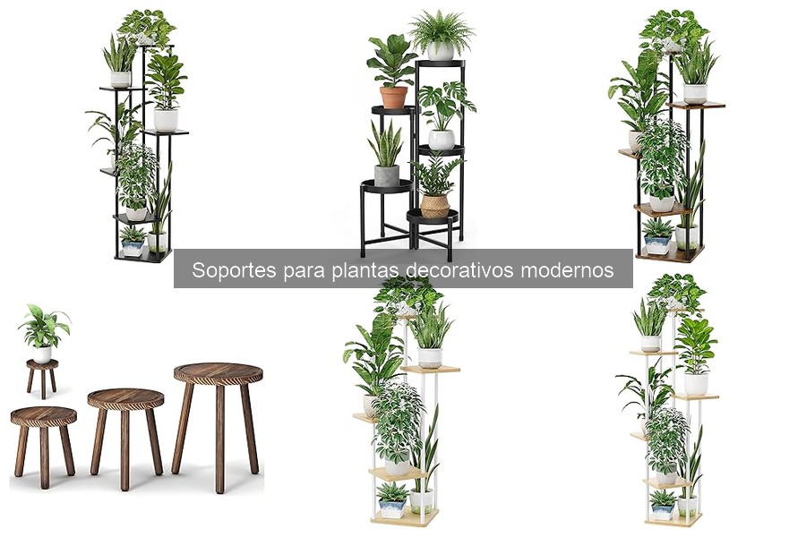 Tipos de soportes para plantas decorativos modernos