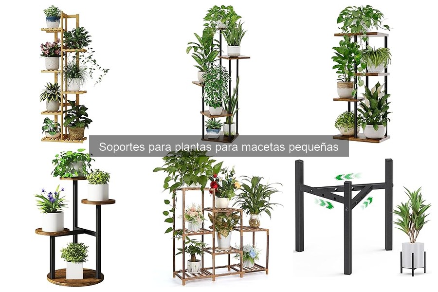 Tipos de soportes para plantas en macetas pequeñas