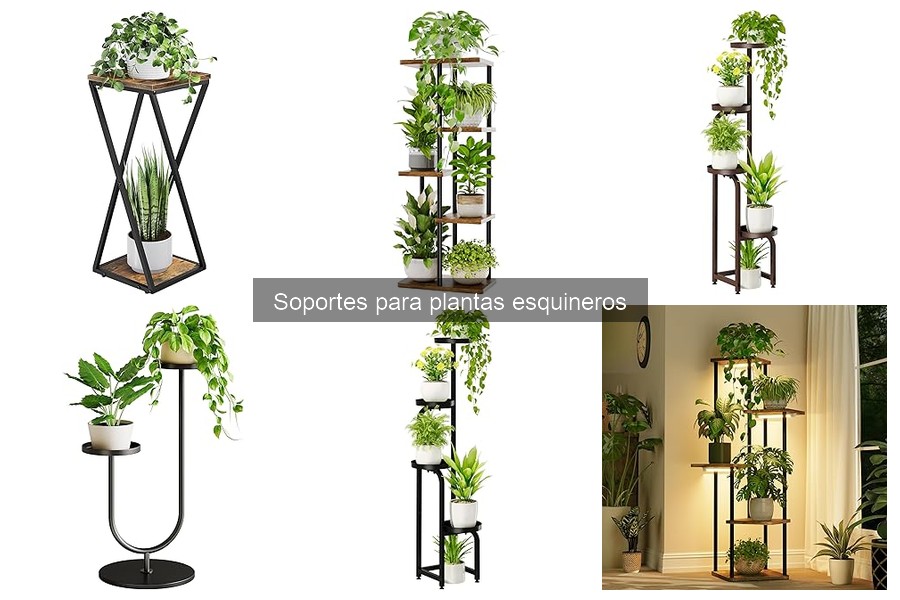 Tipos de soportes para plantas esquineros: Guía completa