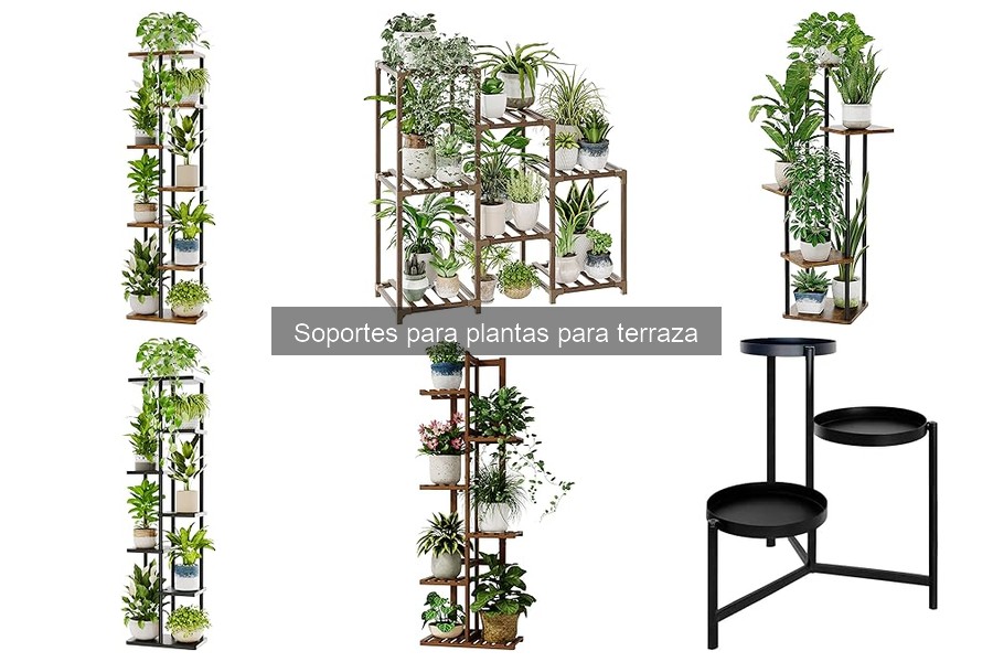 Tipos de soportes para plantas y sus características