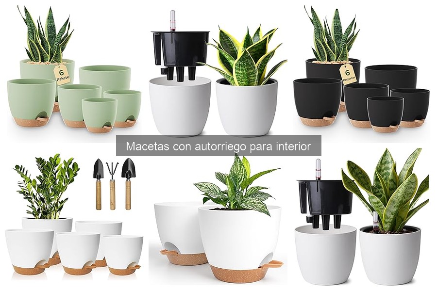 Tips para Usar Efectivamente Macetas con Autorriego