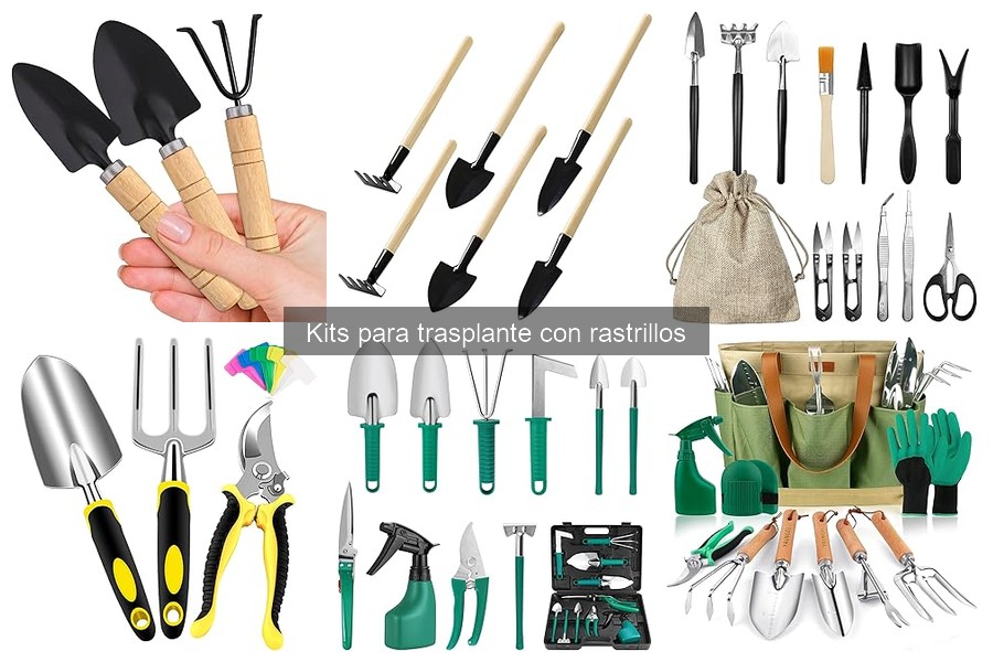 Todo sobre kits para trasplante: ¿Qué incluyen y para qué sirven?