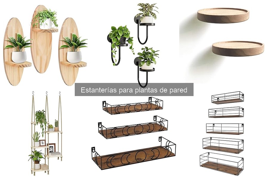 Todo sobre las estanterías para plantas de pared