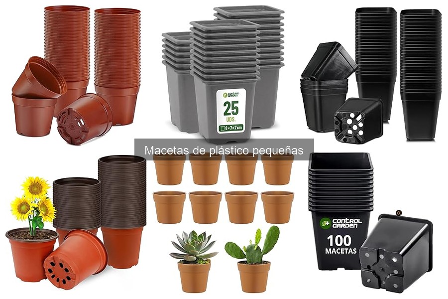 Uso adecuado de macetas de plástico pequeñas para plantas