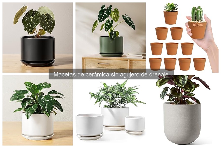 Uso correcto de macetas de cerámica sin drenaje