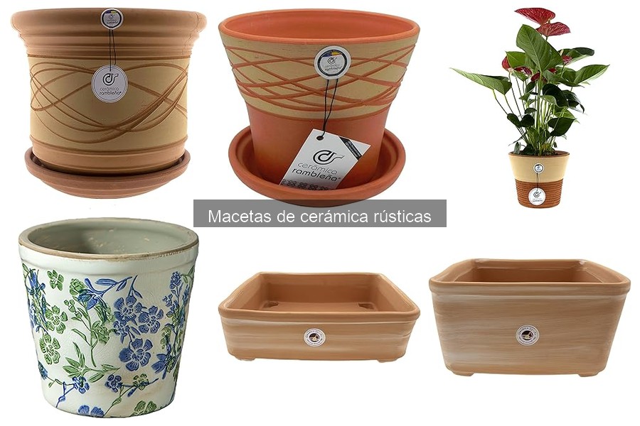 Uso y Cuidado de Macetas de Cerámica Rústicas