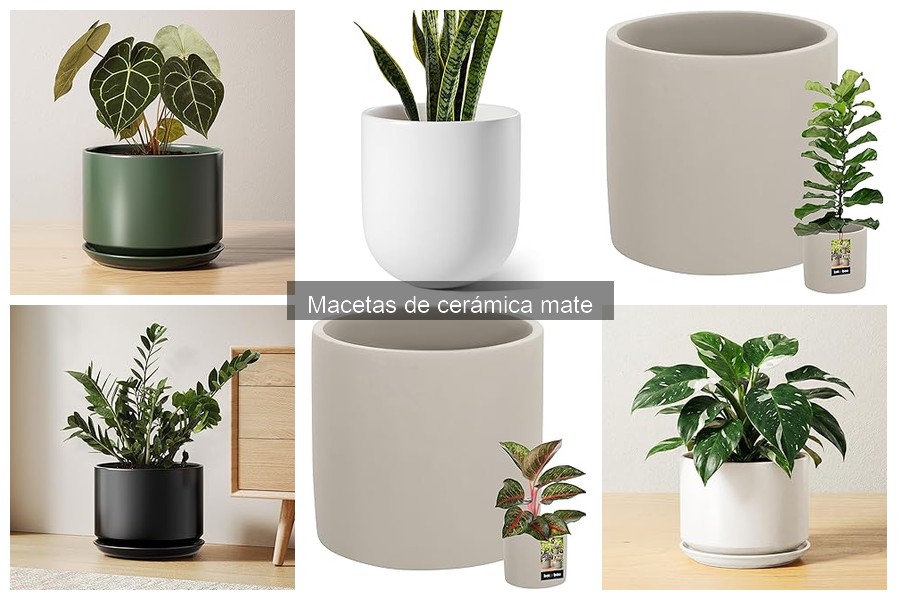 Usos creativos de macetas de cerámica mate en decoración