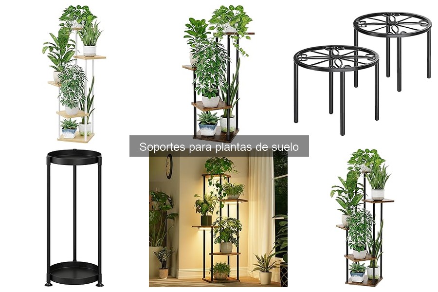 Usos creativos de soportes para plantas de suelo