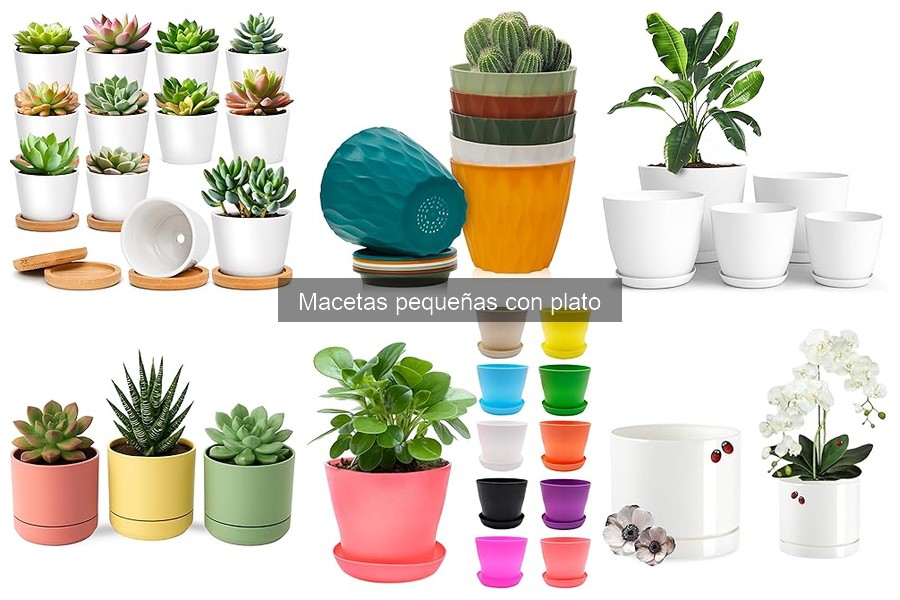 Usos creativos para macetas pequeñas con plato