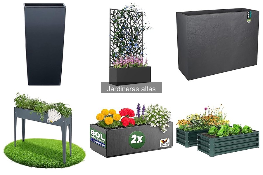 Ventajas de Jardineras Altas para Interiores | Decoración y Espacio
