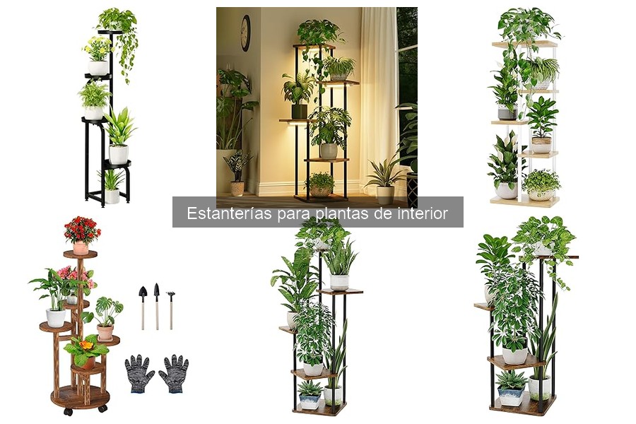 Ventajas de las estanterías para plantas de interior