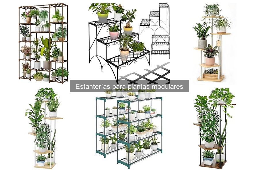 Ventajas de las estanterías para plantas modulares