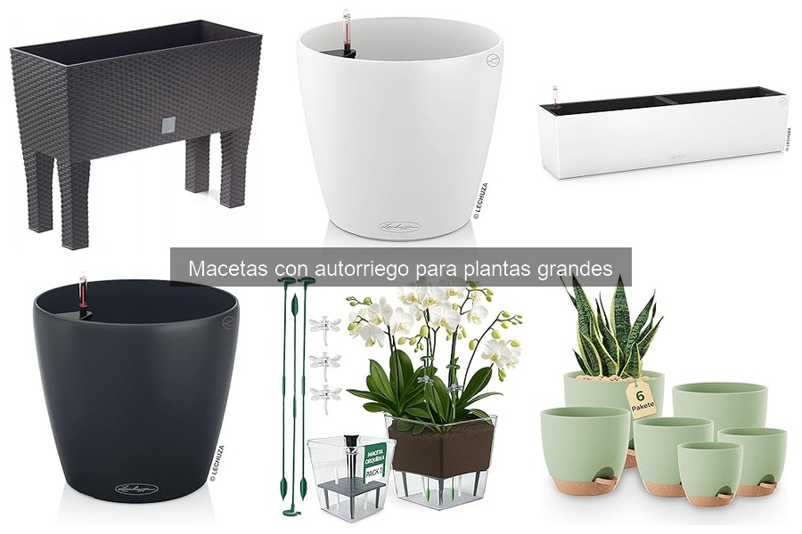 Ventajas de las macetas con autorriego para plantas grandes