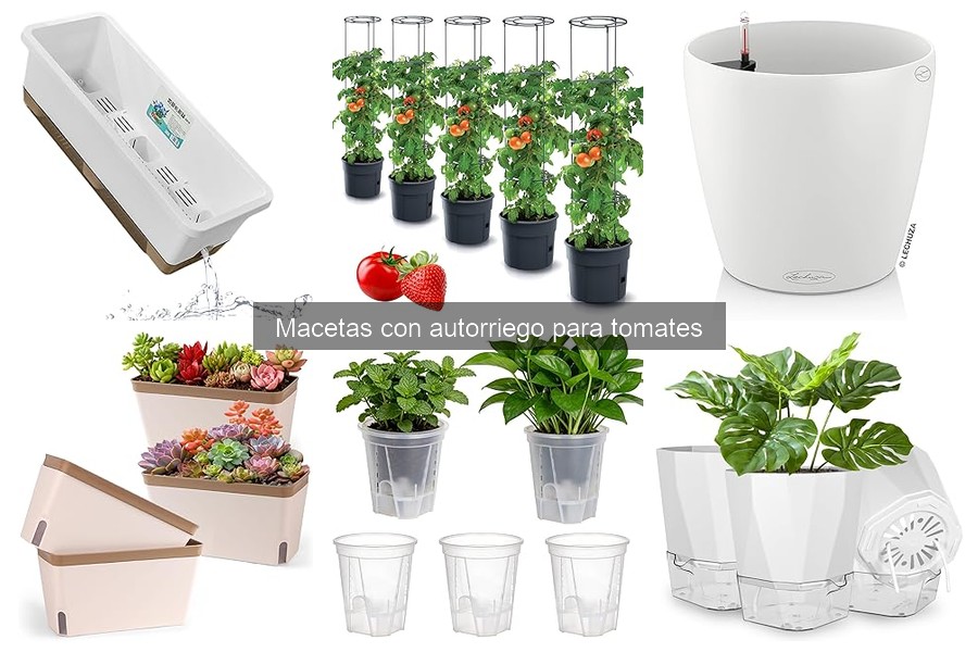 Ventajas de las macetas con autorriego para tomates