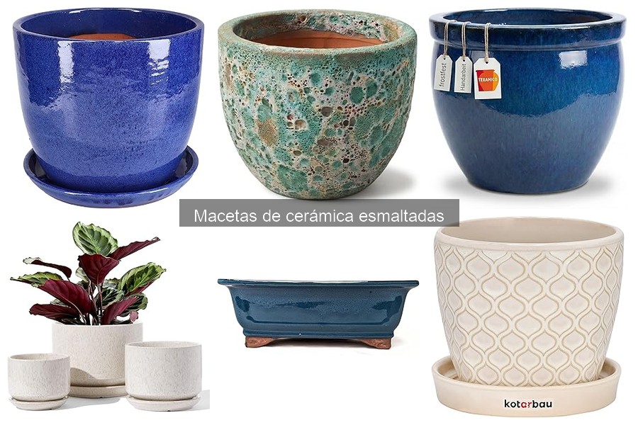 Ventajas de las Macetas de Cerámica Esmaltadas para tus Plantas