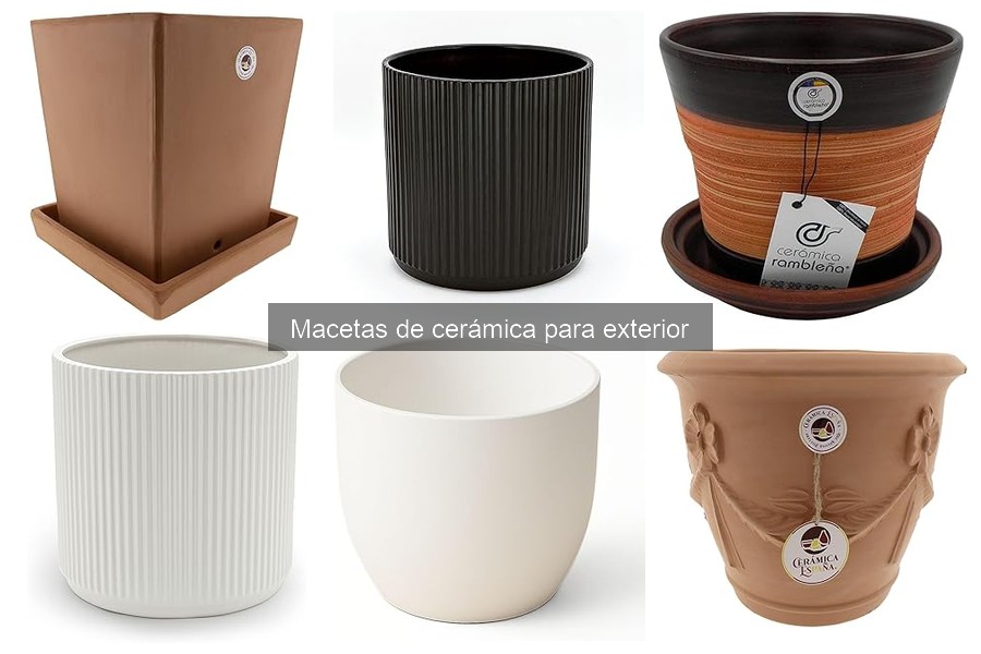 Ventajas de las macetas de cerámica para exterior