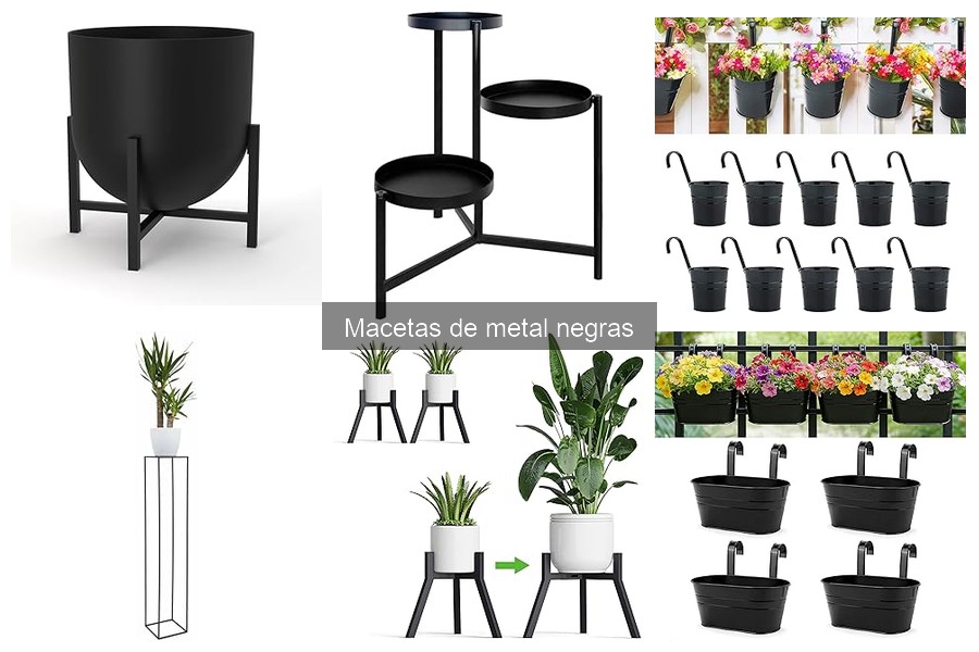 Ventajas de las Macetas de Metal Negras para tus Plantas