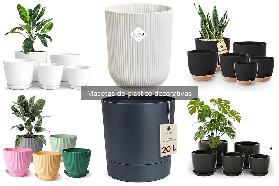 Ventajas de las Macetas de Plástico Decorativas para tus Plantas