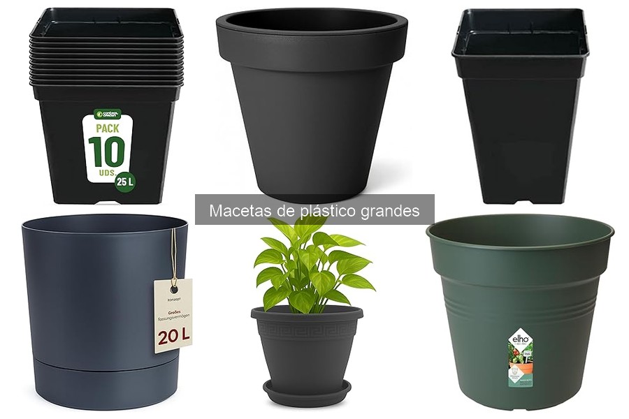 Ventajas de las Macetas de Plástico Grandes para tus Plantas