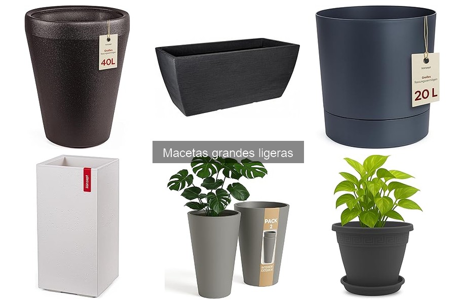 Ventajas de las Macetas Grandes Ligeras para Jardines Interiores