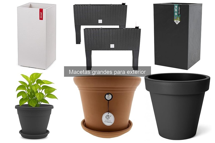 Ventajas de las Macetas Grandes para Exterior: Estilo y Crecimiento