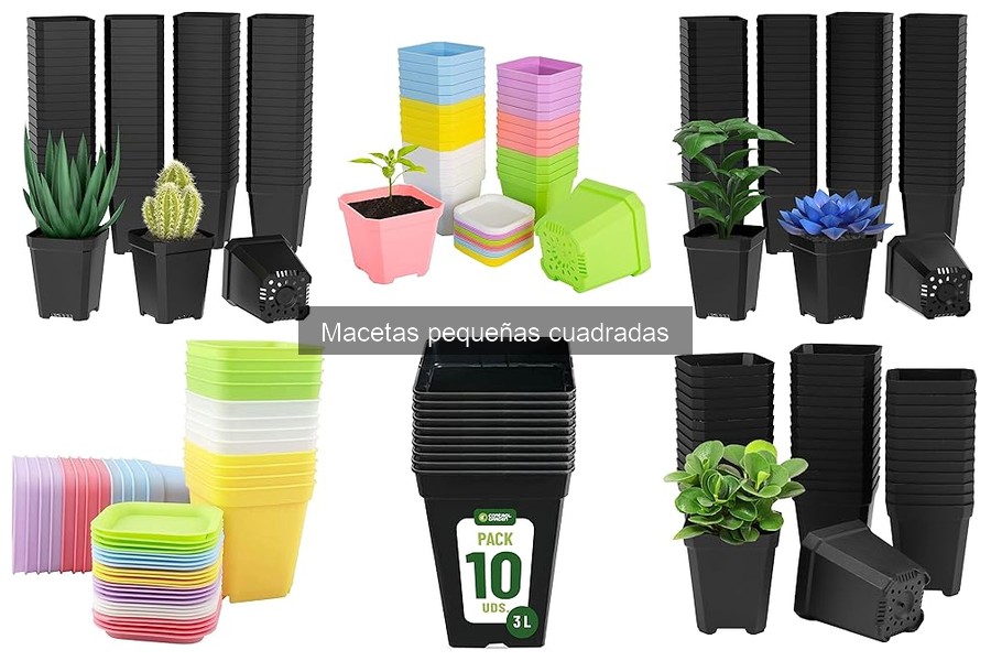 Ventajas de las Macetas Pequeñas Cuadradas para Tu Hogar