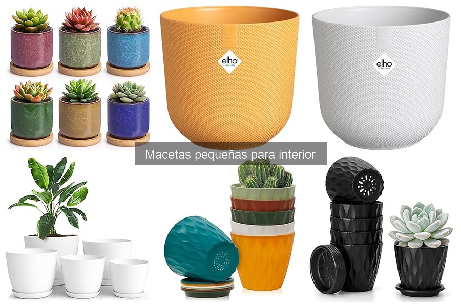 Ventajas de las Macetas Pequeñas para Interior