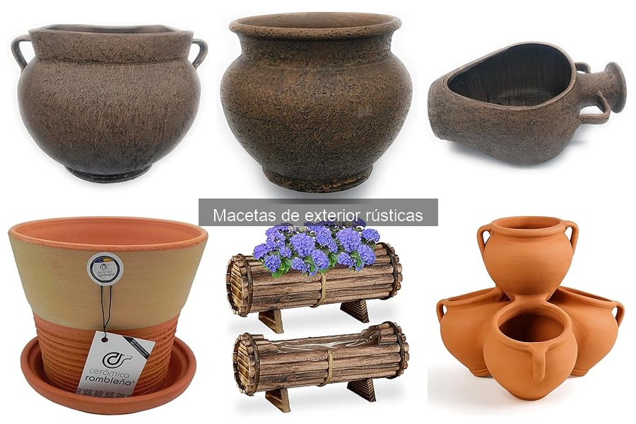 Ventajas de las macetas rústicas frente a las modernas