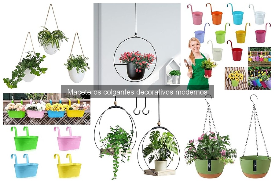 Ventajas de los maceteros colgantes decorativos para tu hogar
