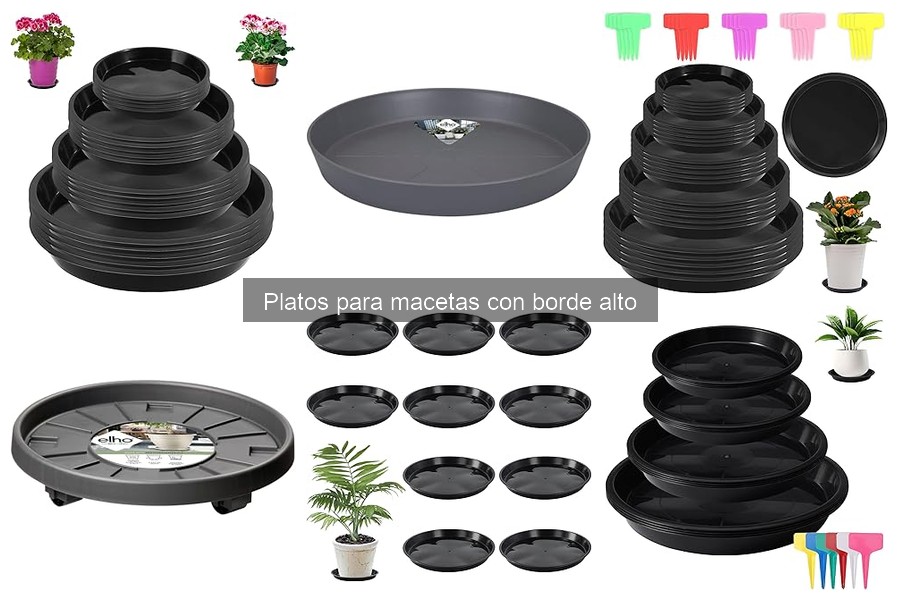 Ventajas de los Platos para Macetas con Borde Alto
