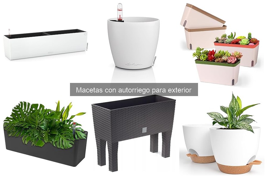 Ventajas de Macetas con Autorriego para el Jardín