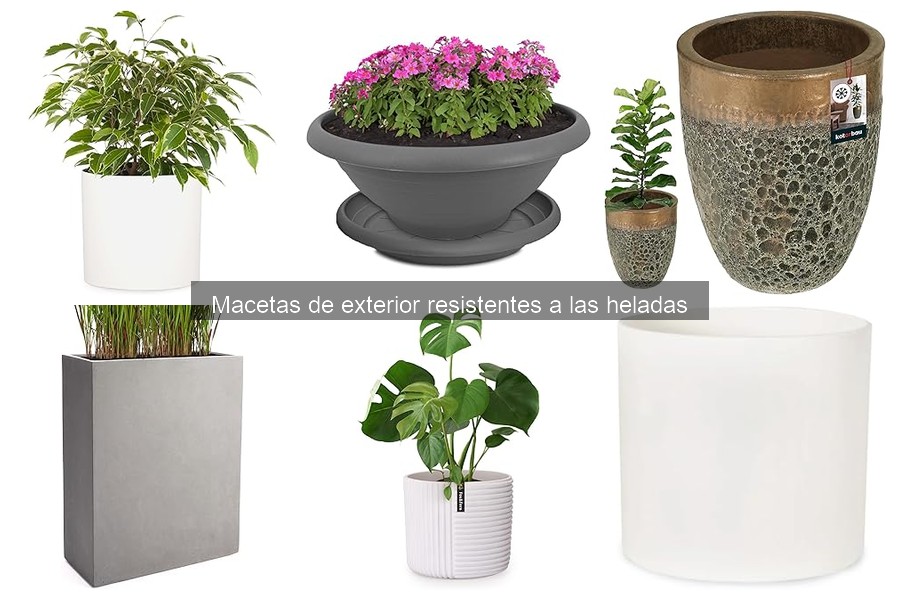 Ventajas de Macetas de Exterior Resistentes a las Heladas