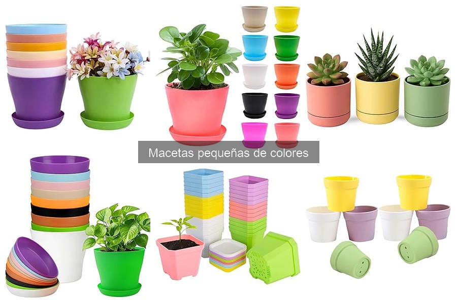 Ventajas de Macetas Pequeñas de Colores en el Hogar
