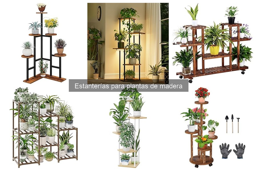 Ventajas de usar estanterías de madera para plantas