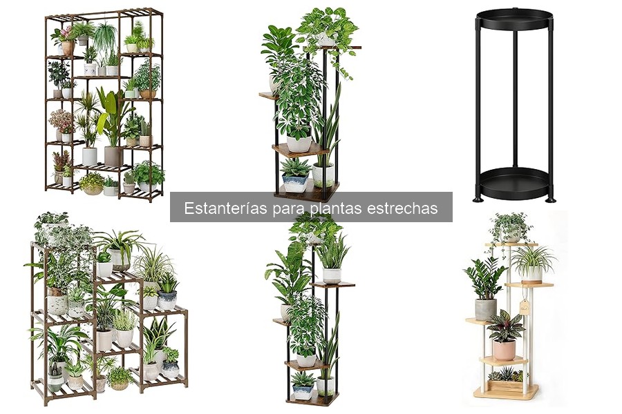 Ventajas de usar estanterías estrechas para plantas en casa
