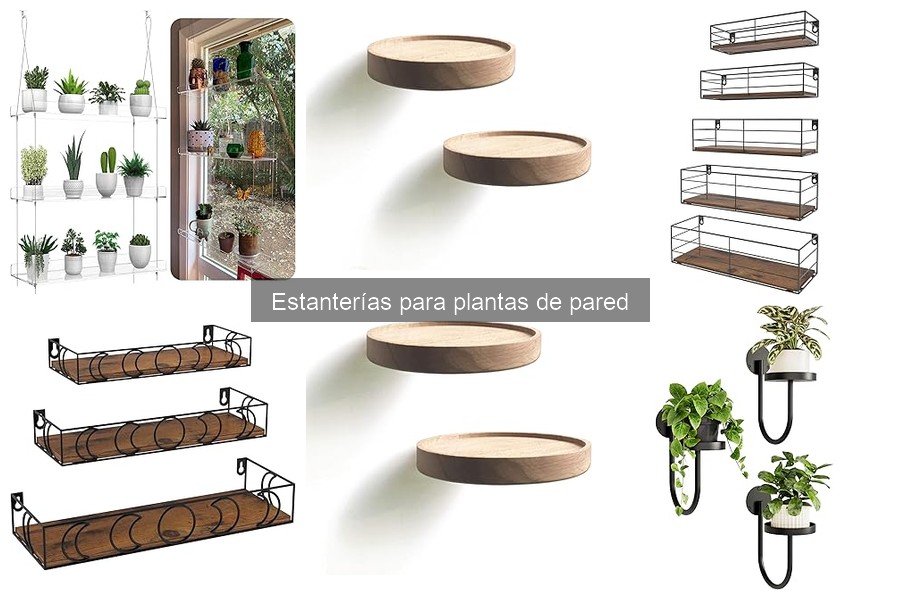 Ventajas de usar estanterías para plantas de pared