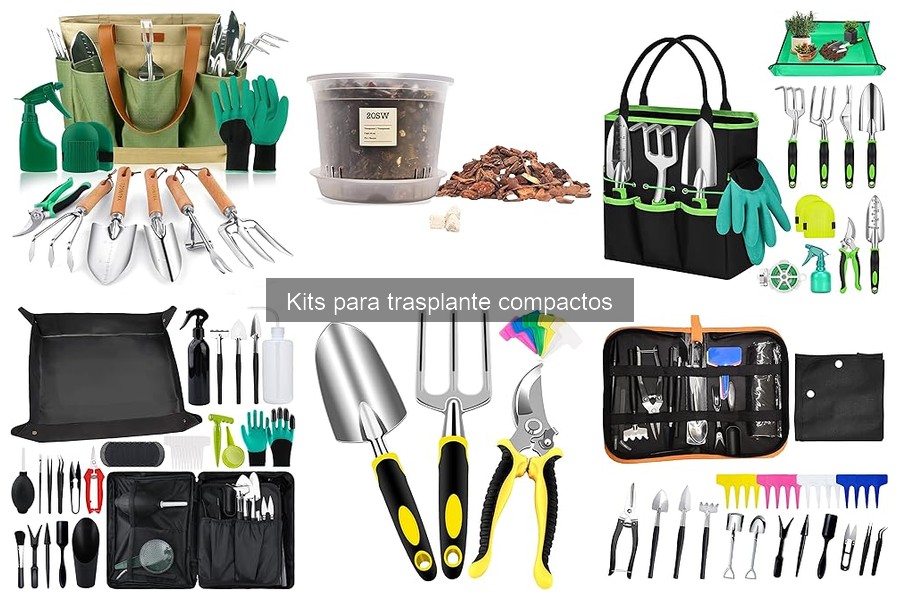 Ventajas de Usar Kits para Trasplante Compactos en Jardinería