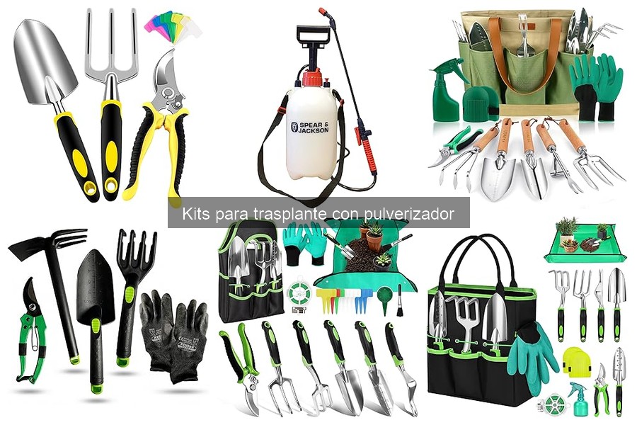 Ventajas de usar kits para trasplante con pulverizador