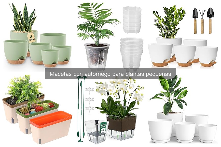 Ventajas de usar macetas con autorriego para plantas pequeñas