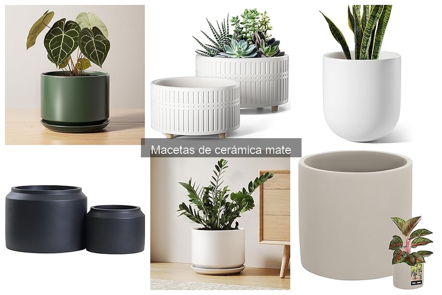 Ventajas de usar macetas de cerámica mate para tus plantas