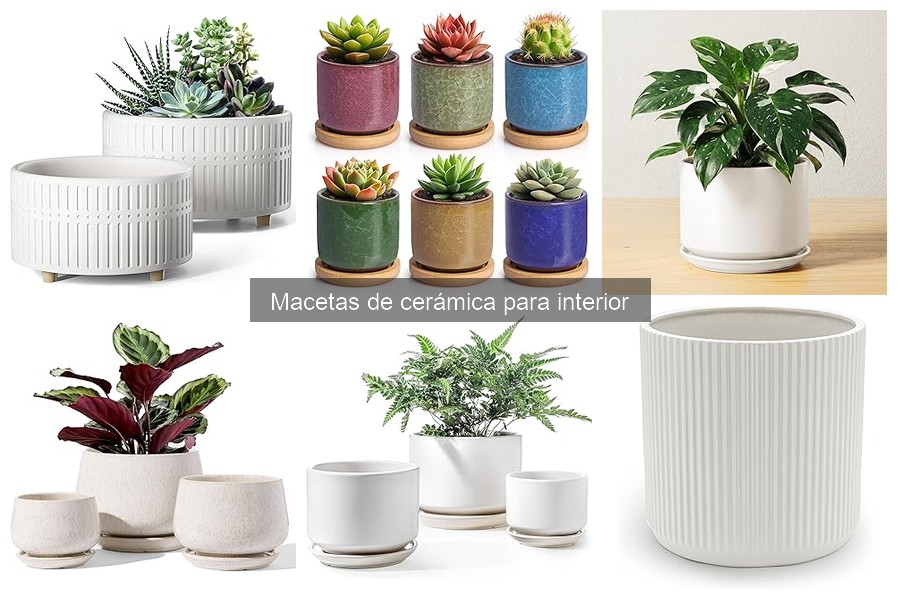 Ventajas de usar macetas de cerámica para tus plantas